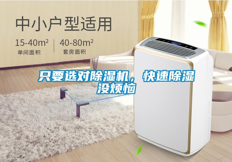 只要選對除濕機,快速除濕沒煩惱
