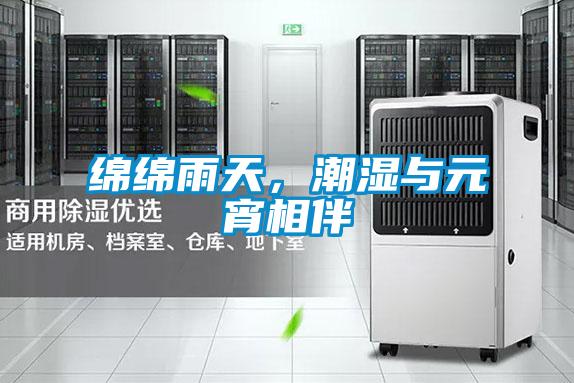 綿綿雨天，潮濕與元宵相伴