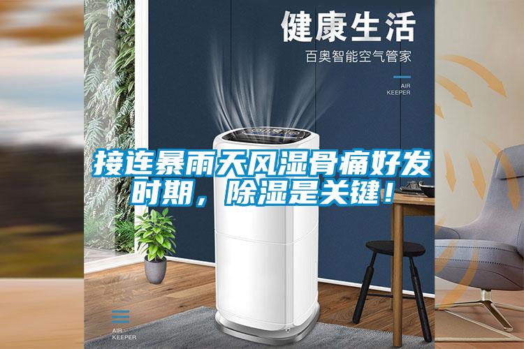 接連暴雨天風濕骨痛好發時期，除濕是關鍵！