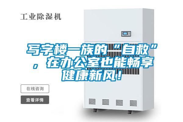 寫(xiě)字樓一族的“自救”，在辦公室也能暢享健康新風(fēng)！