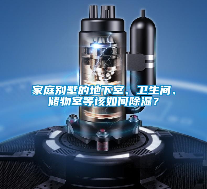 家庭別墅的地下室、衛生間、儲物室等該如何除濕？