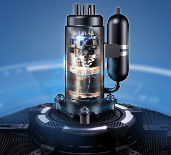 潮濕的木頭長木耳，寒濕的體質長腫瘤！