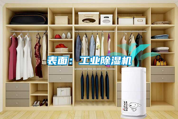 表面:工業(yè)除濕機