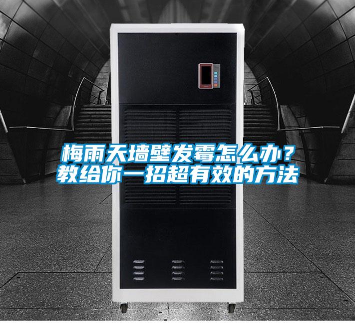 梅雨天墻壁發霉怎么辦？教給你一招超有效的方法