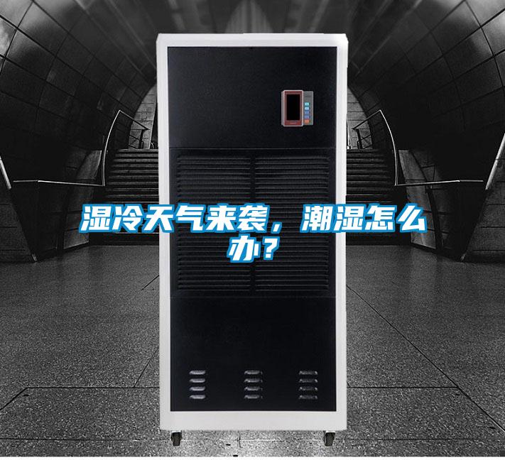 濕冷天氣來(lái)襲，潮濕怎么辦？