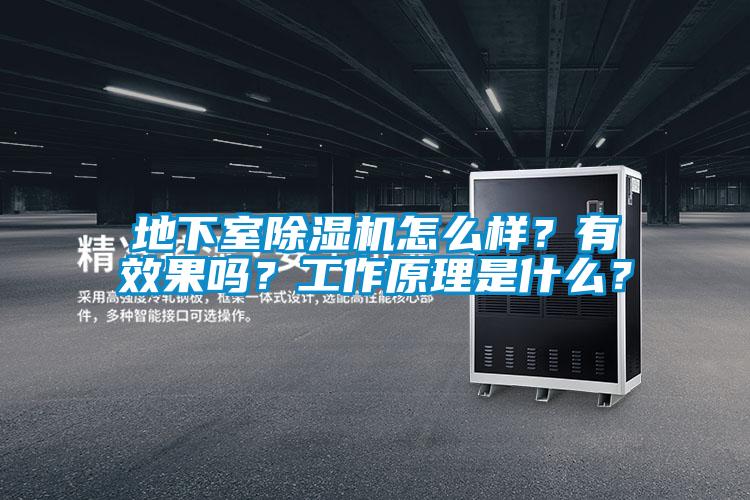 地下室除濕機怎么樣?有效果嗎?工作原理是什么?