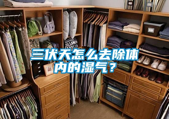 三伏天怎么去除體內的濕氣?