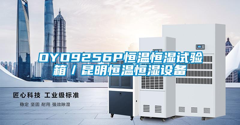 OYO9256P恒溫恒濕試驗箱/昆明恒溫恒濕設備
