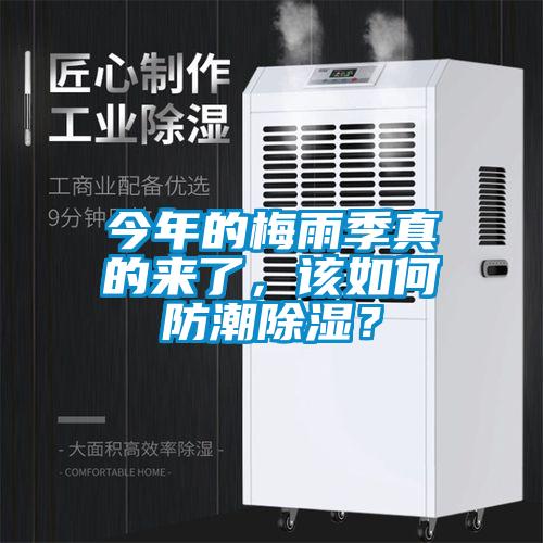 今年的梅雨季真的來了，該如何防潮除濕？