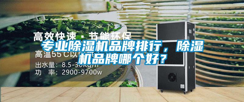 專業除濕機品牌排行,除濕機品牌哪個好?