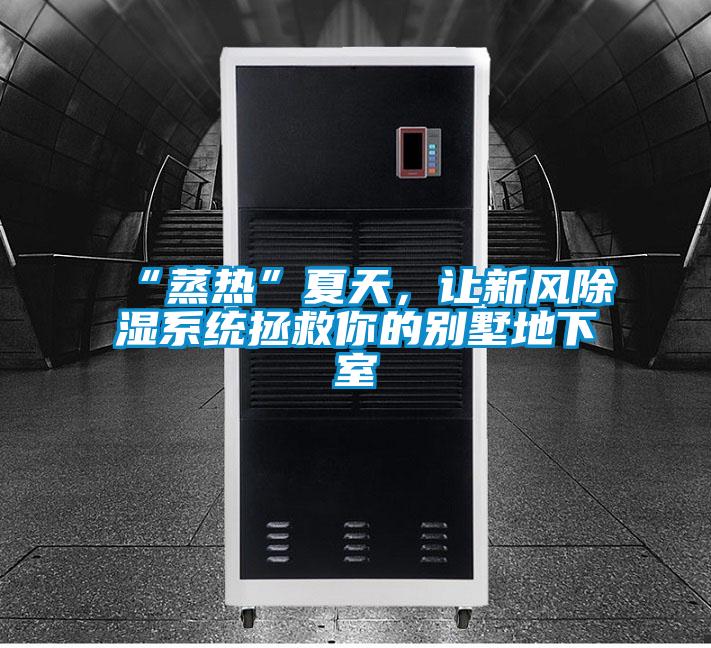 “蒸熱”夏天,讓新風除濕系統拯救你的別墅地下室