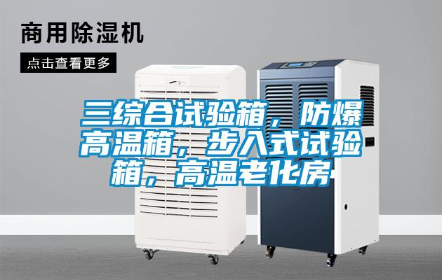 三綜合試驗箱，防爆高溫箱，步入式試驗箱，高溫老化房