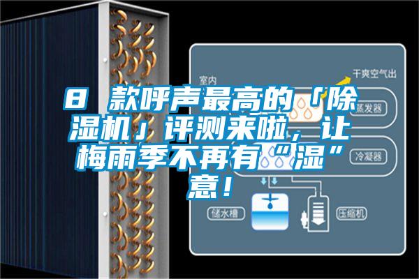 8 款呼聲最高的「除濕機」評測來啦，讓梅雨季不再有“濕”意！