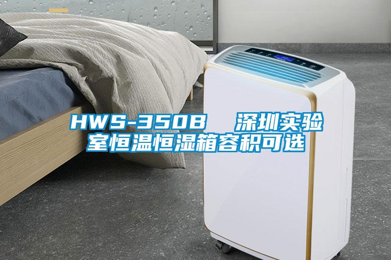 HWS-350B 深圳實(shí)驗(yàn)室恒溫恒濕箱容積可選