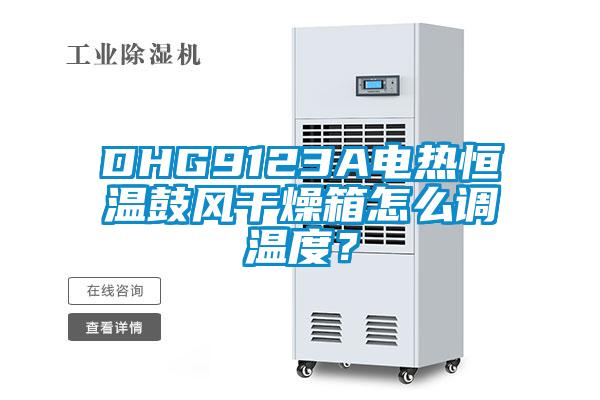 DHG9123A電熱恒溫鼓風干燥箱怎么調溫度?