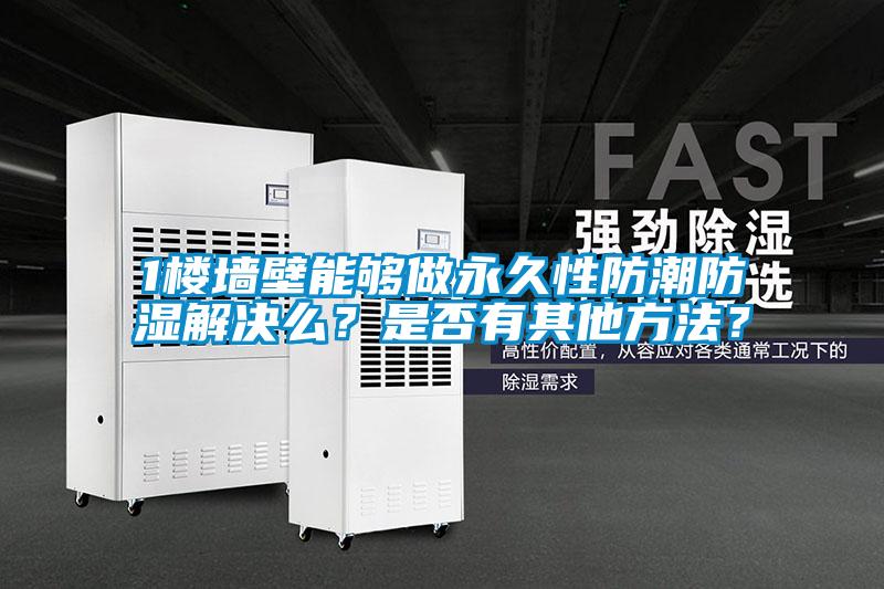 1樓墻壁能夠做永久性防潮防濕解決么？是否有其他方法？