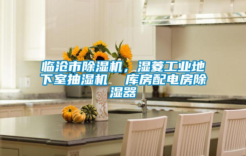 臨滄市除濕機(jī),濕菱工業(yè)地下室抽濕機(jī) 庫(kù)房配電房除濕器