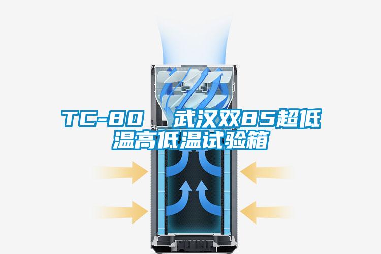 TC-80 武漢雙85超低溫高低溫試驗(yàn)箱