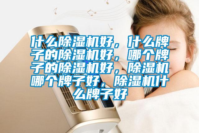 什么除濕機好，什么牌子的除濕機好，哪個牌子的除濕機好，除濕機哪個牌子好，除濕機什么牌子好