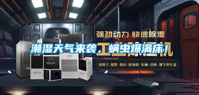 潮濕天氣來襲，螨蟲爆滿床！