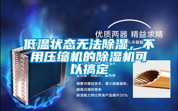 低溫狀態無法除濕，不用壓縮機的除濕機可以搞定
