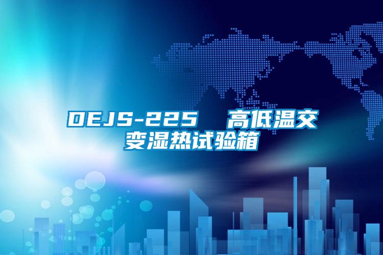 DEJS-225 高低溫交變濕熱試驗箱