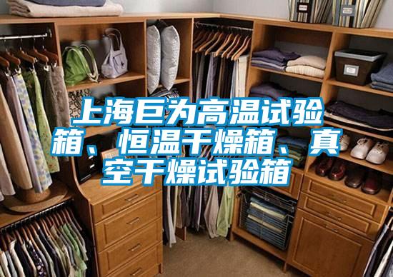 上海巨為高溫試驗(yàn)箱、恒溫干燥箱、真空干燥試驗(yàn)箱