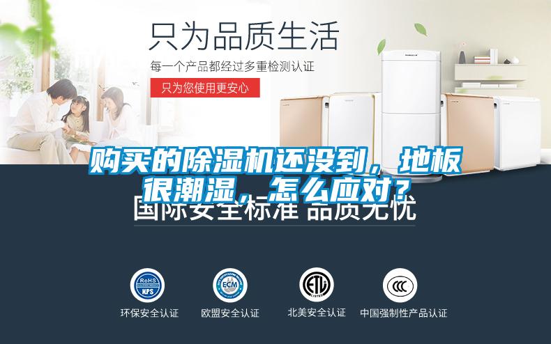購買的除濕機還沒到，地板很潮濕，怎么應對？
