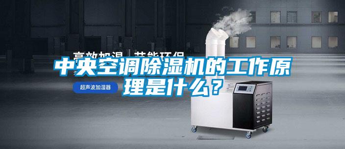 中央空調(diào)除濕機(jī)的工作原理是什么？