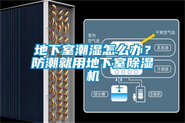 地下室潮濕怎么辦?防潮就用地下室除濕機