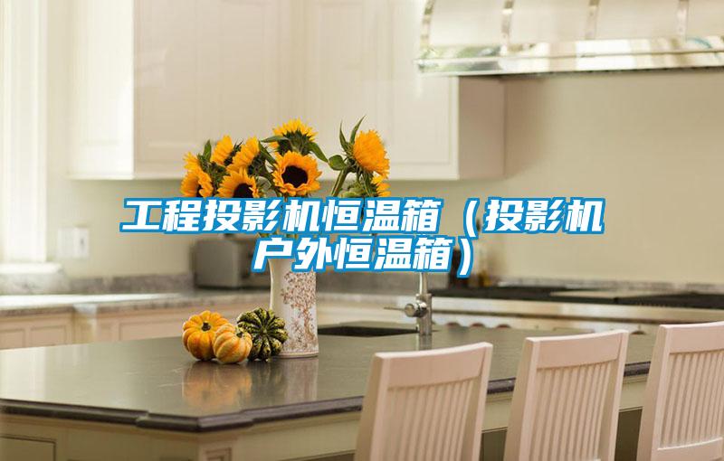 工程投影機(jī)恒溫箱（投影機(jī)戶(hù)外恒溫箱）