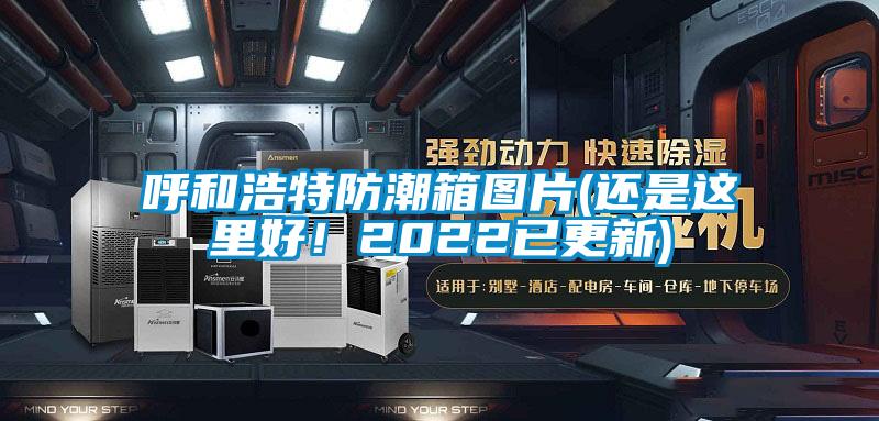 呼和浩特防潮箱圖片(還是這里好！2022已更新)