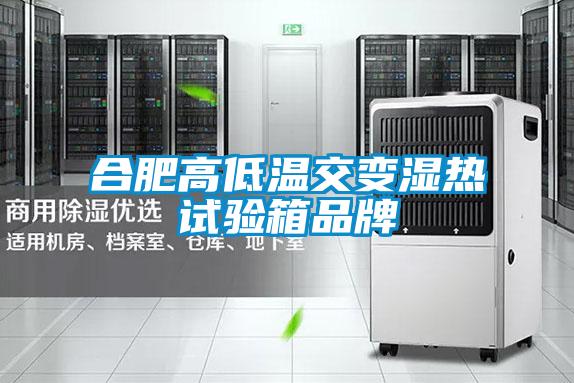 合肥高低溫交變濕熱試驗箱品牌