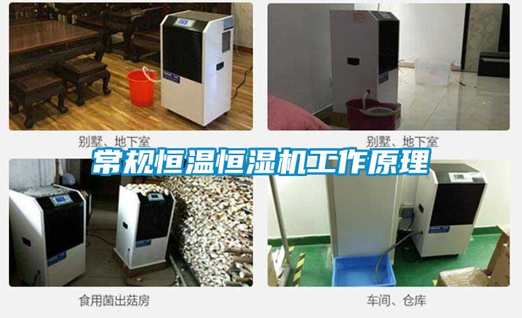 常規恒溫恒濕機工作原理