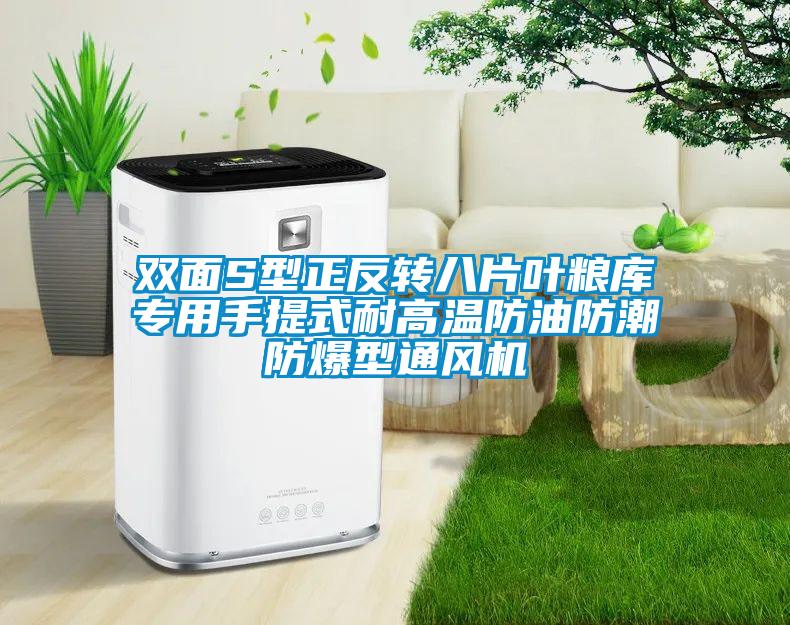 雙面S型正反轉八片葉糧庫專用手提式耐高溫防油防潮防爆型通風機