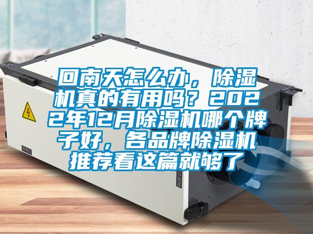 回南天怎么辦，除濕機真的有用嗎？2022年12月除濕機哪個牌子好，各品牌除濕機推薦看這篇就夠了