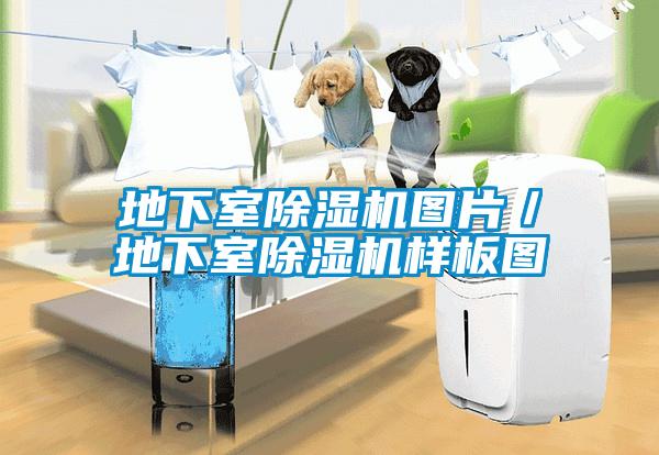 地下室除濕機圖片/地下室除濕機樣板圖