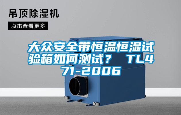大眾安全帶恒溫恒濕試驗(yàn)箱如何測試? TL471-2006