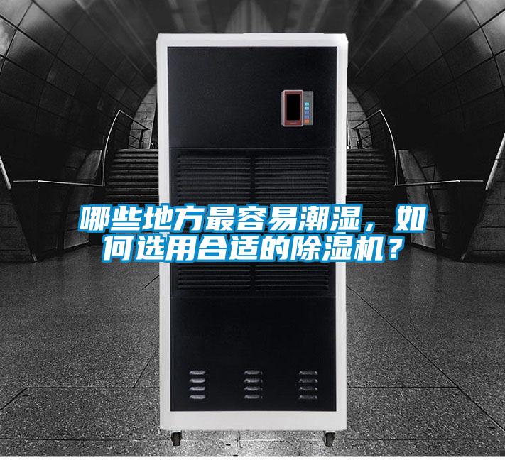 哪些地方最容易潮濕，如何選用合適的除濕機？