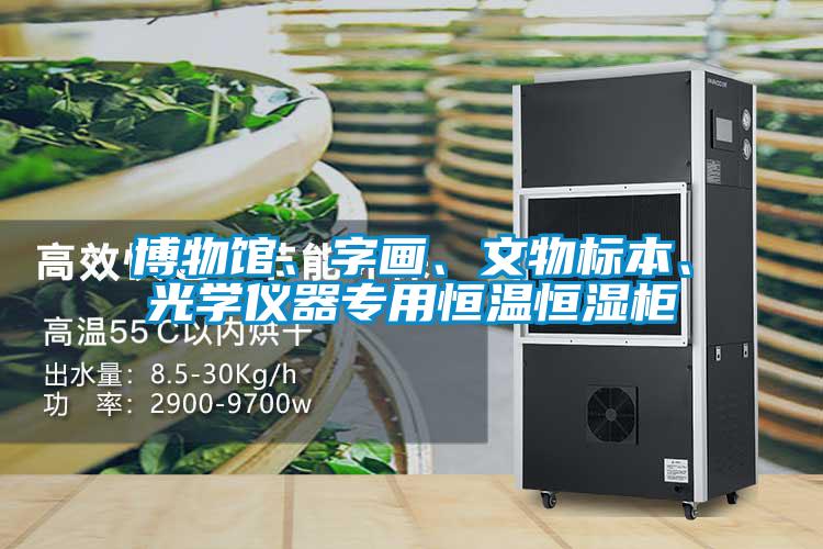 博物館、字畫、文物標(biāo)本、光學(xué)儀器專用恒溫恒濕柜