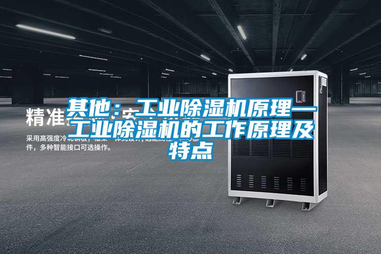 其他：工業(yè)除濕機(jī)原理—工業(yè)除濕機(jī)的工作原理及特點