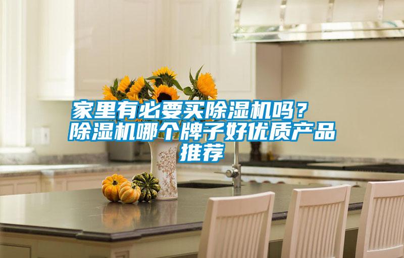 家里有必要買(mǎi)除濕機(jī)嗎？ 除濕機(jī)哪個(gè)牌子好優(yōu)質(zhì)產(chǎn)品推薦