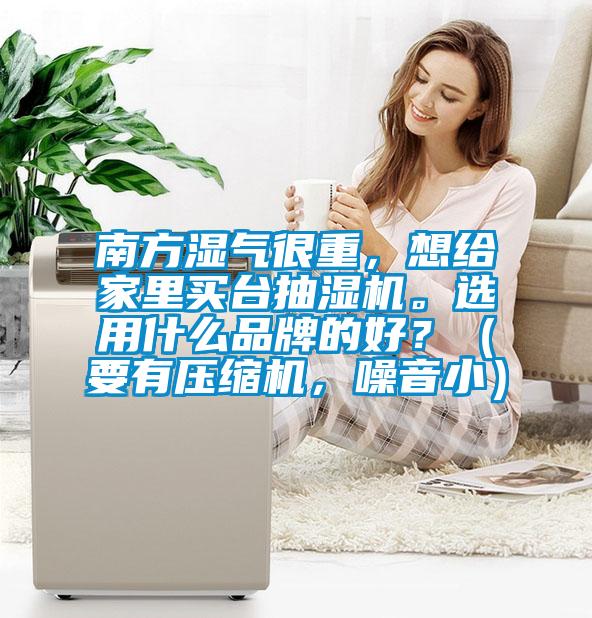 南方濕氣很重，想給家里買臺抽濕機。選用什么品牌的好？（要有壓縮機，噪音小）
