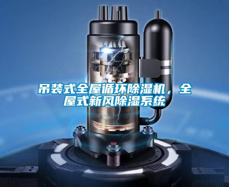 吊裝式全屋循環(huán)除濕機(jī),全屋式新風(fēng)除濕系統(tǒng)