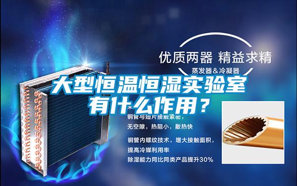 大型恒溫恒濕實(shí)驗(yàn)室有什么作用？