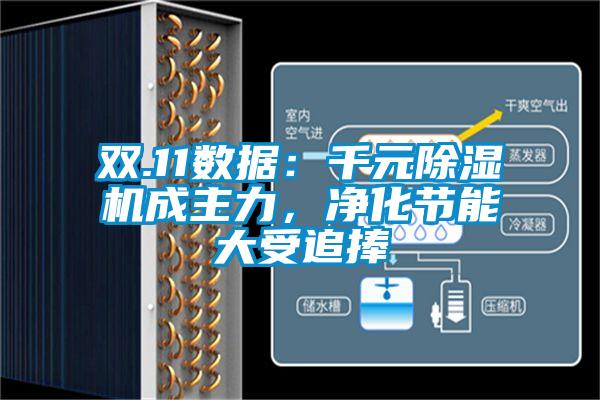 雙.11數(shù)據(jù):千元除濕機(jī)成主力,凈化節(jié)能大受追捧