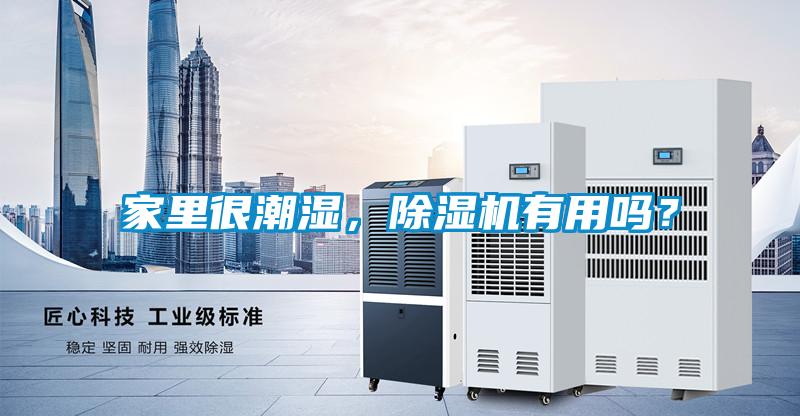 家里很潮濕，除濕機有用嗎？