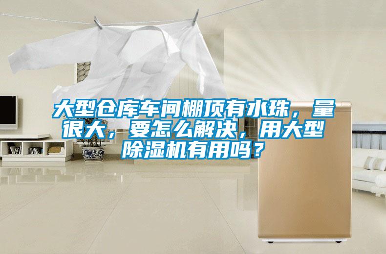 大型倉庫車間棚頂有水珠，量很大，要怎么解決，用大型除濕機有用嗎？