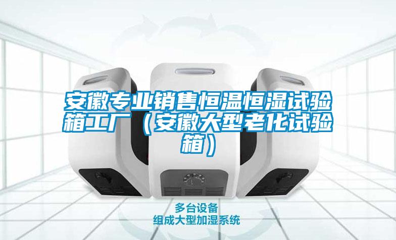 安徽專業(yè)銷售恒溫恒濕試驗(yàn)箱工廠(安徽大型老化試驗(yàn)箱)