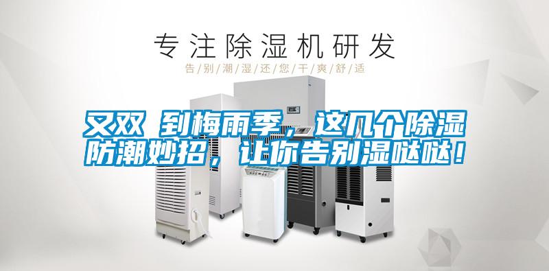 又雙叒到梅雨季，這幾個除濕防潮妙招，讓你告別濕噠噠！